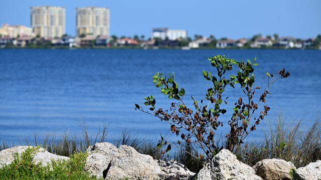 The waters of the Manatee River nearby artist Reinaldo Correa’s public art piece, hTe Singing River, which was installed in the Mineral Springs Park in Riverwalk East in March 2026.